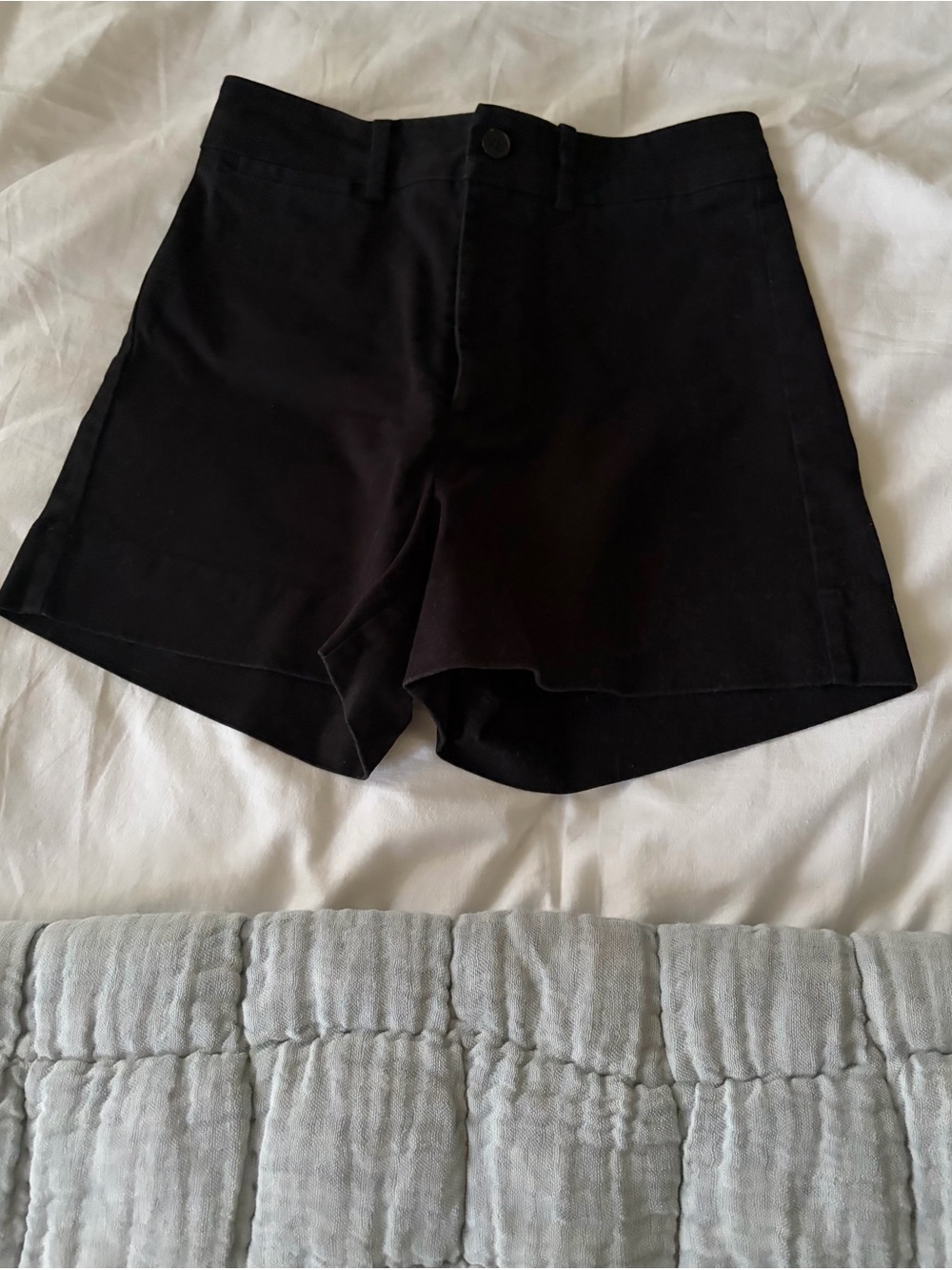 Frank & Oak Black High-Rise Shorts